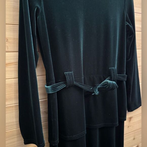 Plaza South Large Dark Green Velvet Tie Waist Long Sleeve Maxi Dress Christmas - Picture 5 of 11